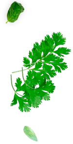 agro decor 3